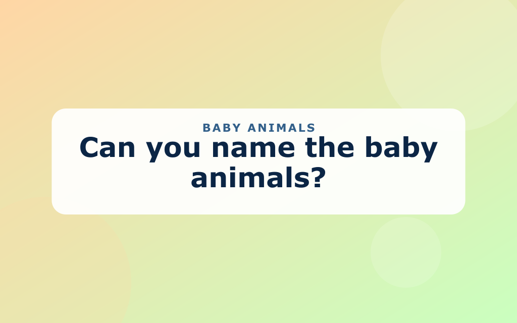 Cartoon baby animals including a puppy, kitten, duckling, lamb, and chick