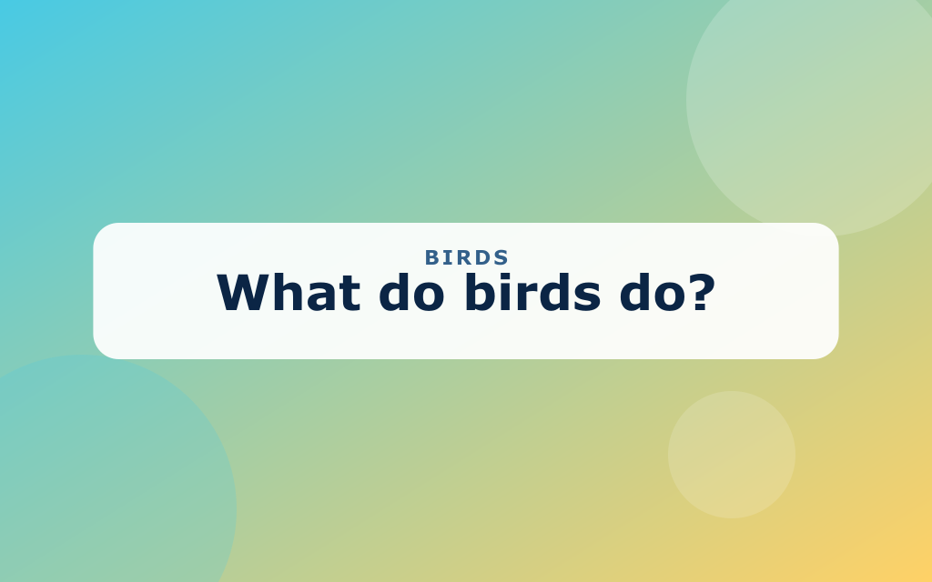 Cartoon birds including a robin, a parrot, and an owl