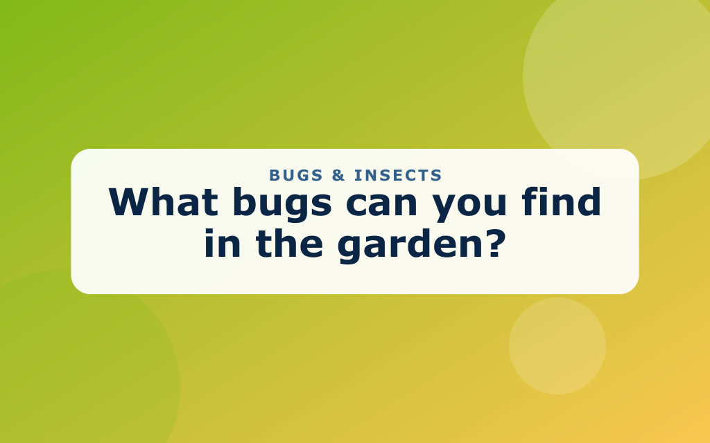 Cartoon garden bugs including a ladybug, bee, butterfly, caterpillar, and ant
