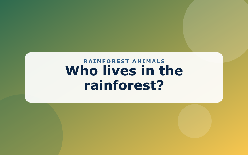 Cartoon rainforest with a monkey, toucan, sloth, and tree frog